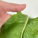 탑플러스마트 이미지