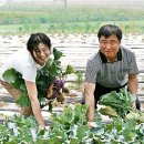 춘천시농업기술센터 이미지