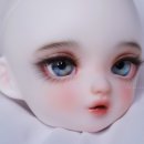 라라지니 이미지