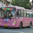 덕소15리(신한A) | [남양주,마을버스] 덕소교통 99-2번