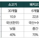 고기닭 이미지