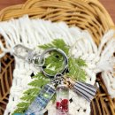 원종열쇠 이미지