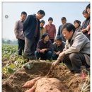 &#34;전우가 좋아&#34;---(793) &#34;건강 이야기&#34;---(299) (와사보생 이야기) &amp; (오늘의 뉴스) 이미지