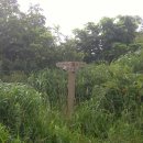 마당두들약수터 이미지