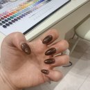 네일하일리