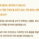 코코호도석동점 네이버블로그
