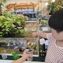 엔젤아쿠아펫가든 이미지