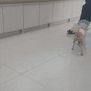 온새동물의료센터 이미지