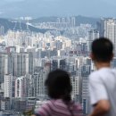 싸다구요 이미지