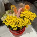 꽃으로 태교하기🌷(화훼기능사 실기 합격 후기/화훼장식기능사 실기 준비물/꽃취미)