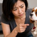 손바느질로 만드는 강아지 옷 | 고양이 강아지 케이프 만들기 초보도 쉽게 만드는 귀여운 DIY
