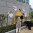 강서구-83 이미지