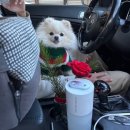 폴짝하우스 이미지