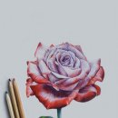 세밀색연필화 이미지