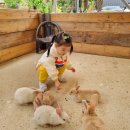 무룡농장 | 부산 근교 아기랑 가기 좋은 울산 무룡도원