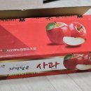 정산농원 | 고향사랑기부제 연말정산 답례품 추천 경북 포항 일광농원 사과 5kg 수령 후기