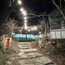 정미네