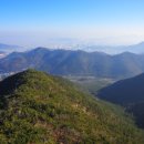 늑대와 여우 이미지