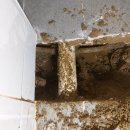 명장1동-1 이미지