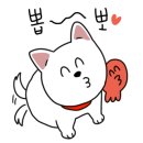 메다카갤러리 네이버블로그