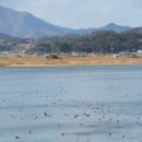 정남진보청기 네이버블로그