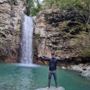 영 농장 이미지