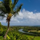 (주)진튜브 이미지