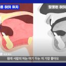 혀의 위치는 이렇게 이미지