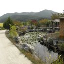 한우와 된장 이미지