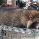 임산시장 이미지