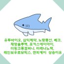 유투컴퍼니