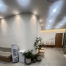 퀸즈의원 | 강서 아이엠유 의원 병원 후기 마곡 야간 진료 병원 (염색약 반응 두피 치료법)
