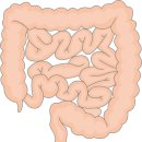 하나항맥외과의원 이미지