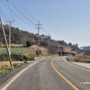 조은날부동산공인중개사사무소 이미지