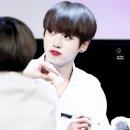 태형수지 이미지