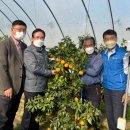 김종기농장 이미지