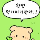 양푼이 막창