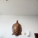 바른자세척추교정원일산지부 | 몸의 뼈가 맞춰지는 황룡체형교정원 솔직후기