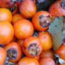 산이네농장 이미지