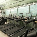 SG피트니스 이미지