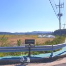 죽정습지 이미지