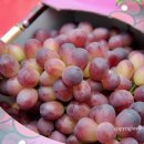 반곡농장 이미지