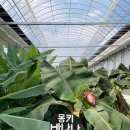 청도농장 이미지