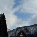 EG투어버스 C코스 | 나고야 시라카와고 다카야마 버스투어 내돈내산 진짜 솔직 후기 비추?