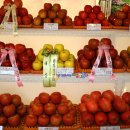 한밤실마을 이미지