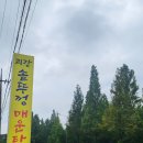 신방통정로 | 신방동맛집 민물새우탕의 깊은 맛에 감동 괴강어죽솥뚜껑매운탕 천안신방점