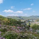 백암 2교 이미지