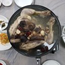대둔산로(1) | 대전근교 물놀이장 완주 자연숲펜션 평상 수영장 후기