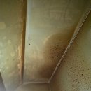 양평식당 이미지