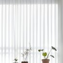 스텔라홈 이미지